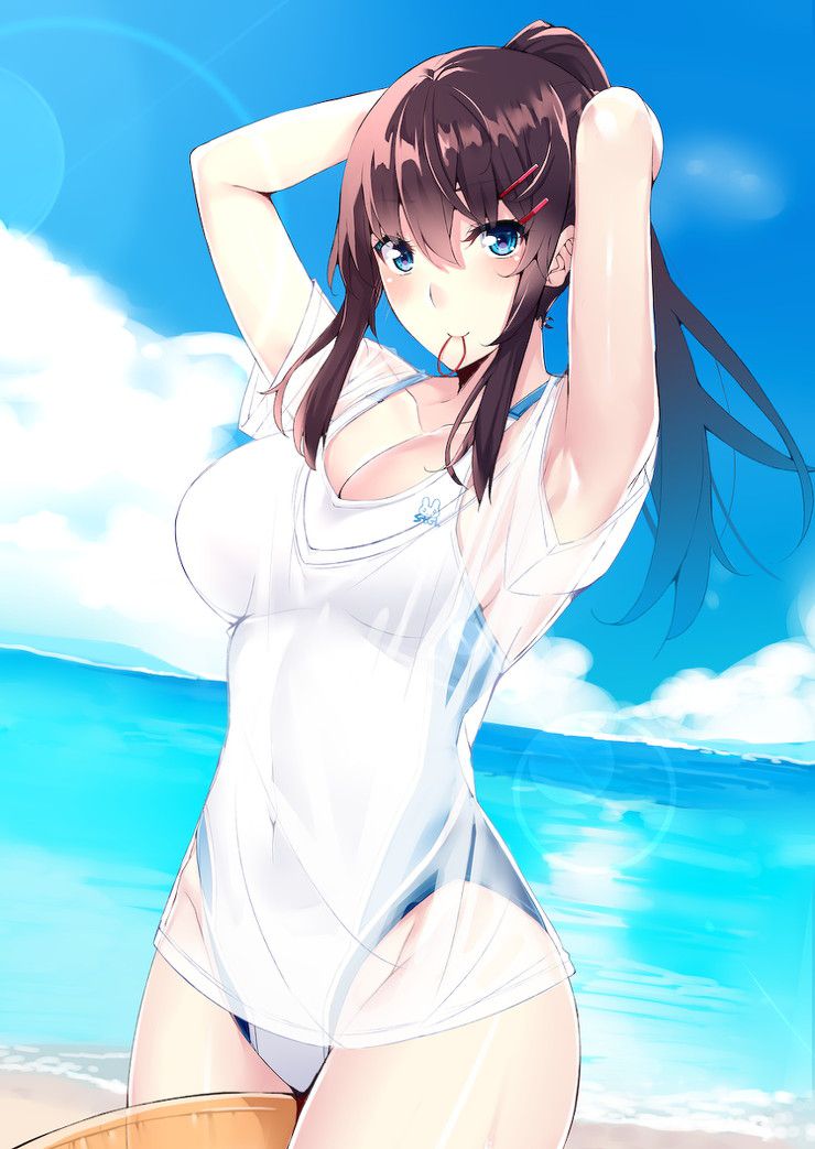 [100 sheets] 2019 summer is also over, so the second image of the sea and swimsuit beautiful girl is a secondary image-paying sle 90