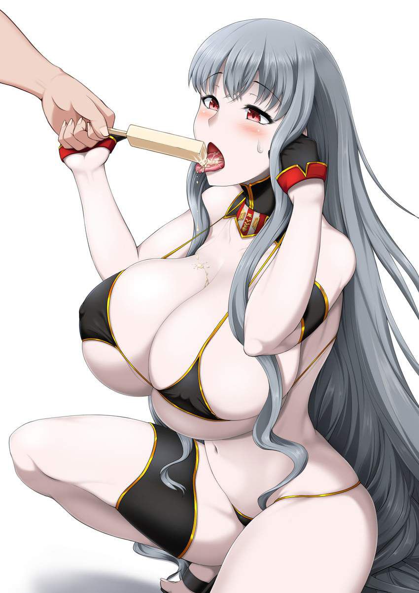 [Valkyria of the battlefield] Selvaria Bles... 10