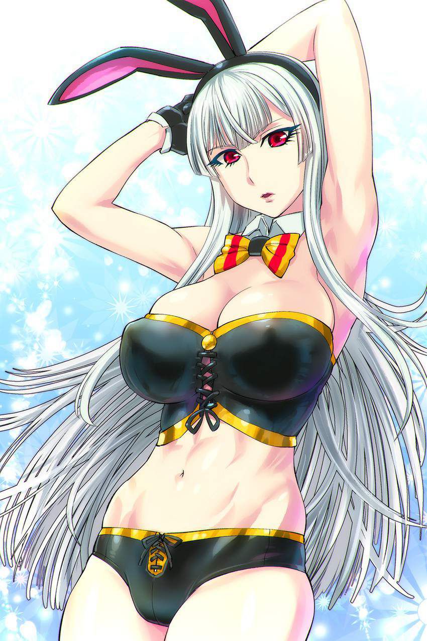 [Valkyria of the battlefield] Selvaria Bles... 29