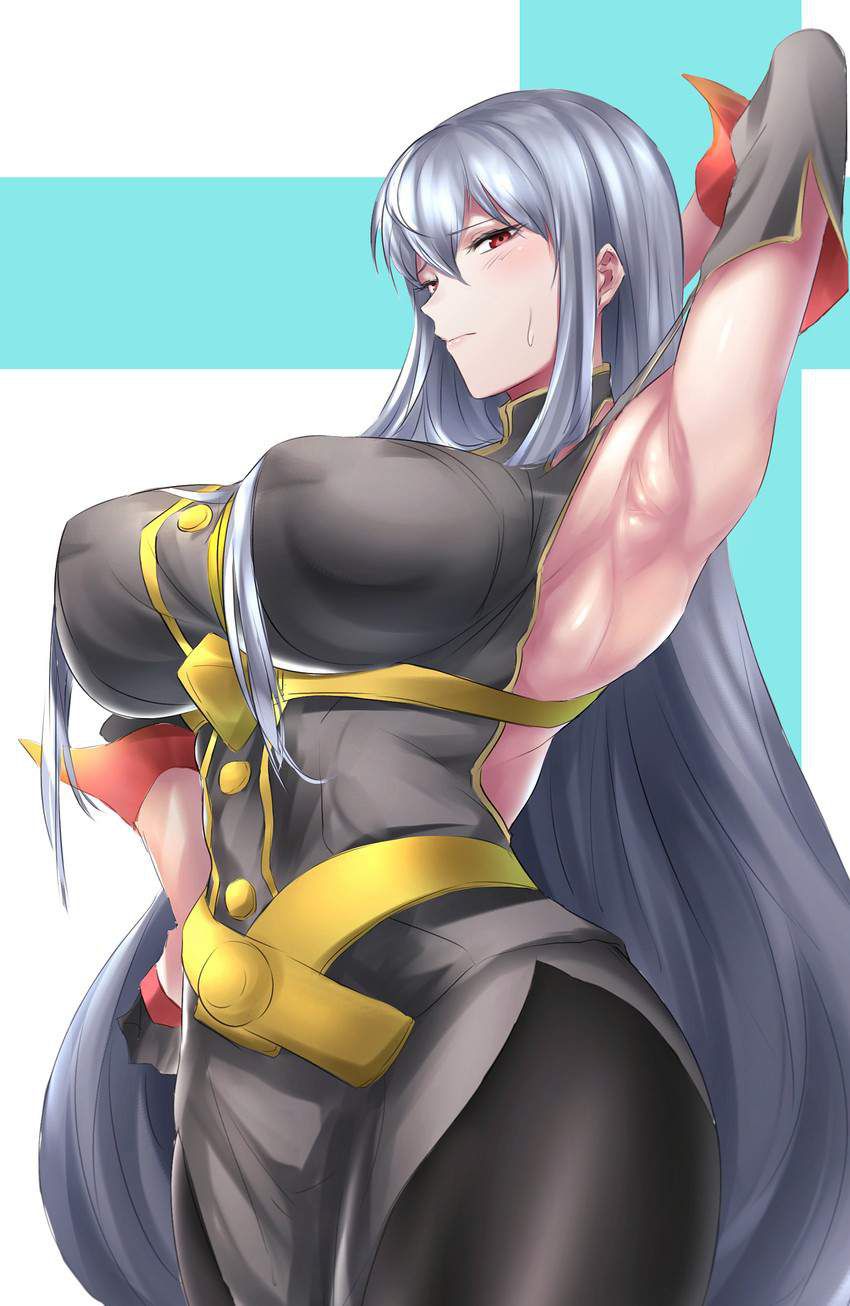 [Valkyria of the battlefield] Selvaria Bles... 45