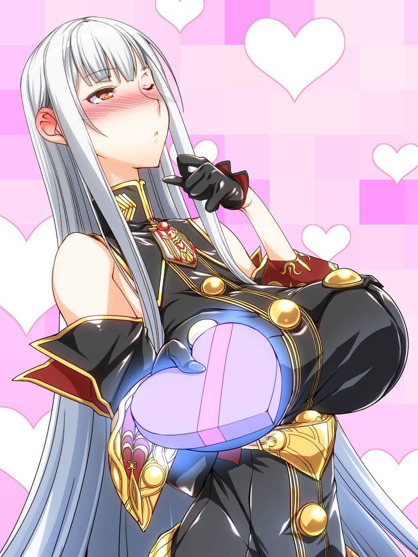 [Valkyria of the battlefield] Selvaria Bles... 49