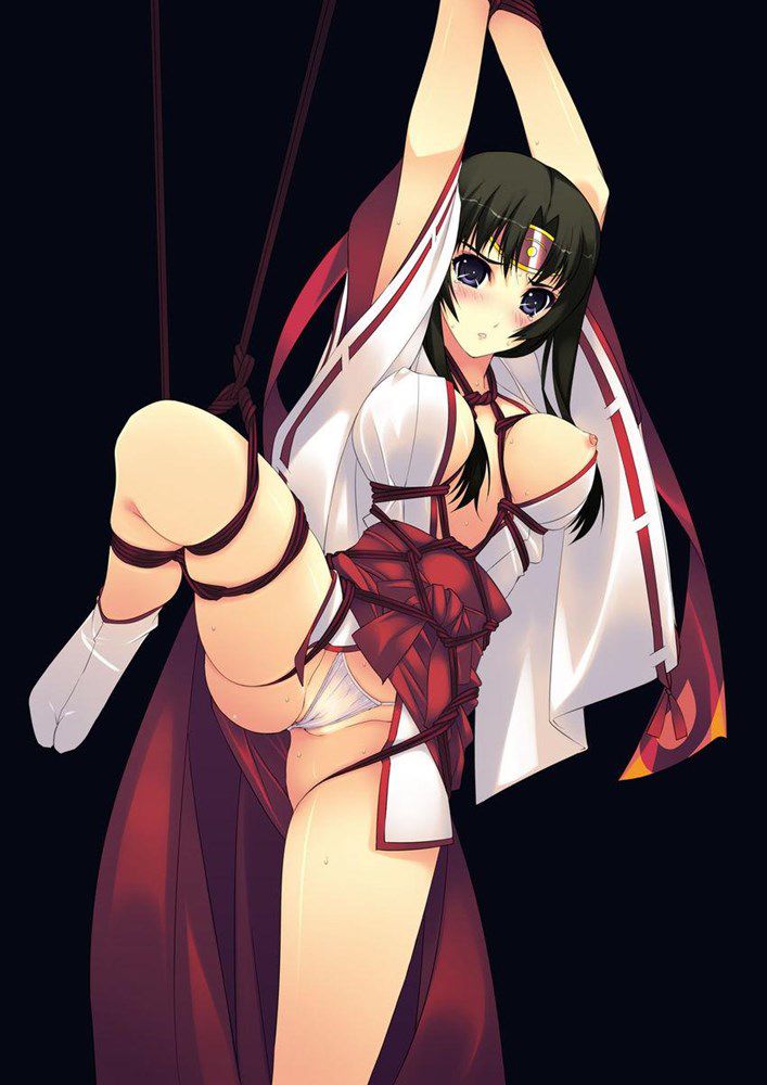 The image of the shrine maiden is erotic, isn't it? 14