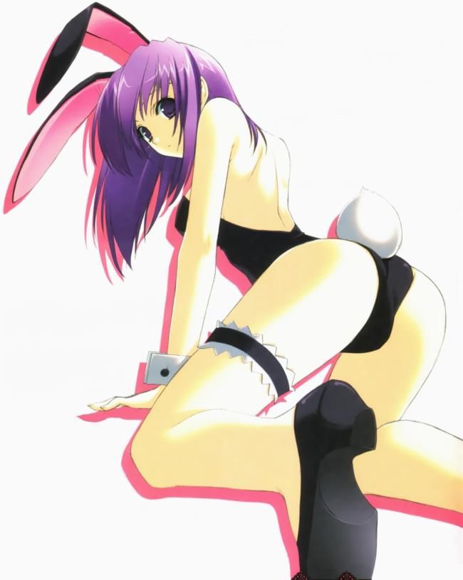 I love the secondary erotic images of bunny girls. 13