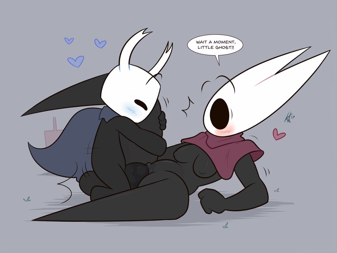 Hollow knight collection 113