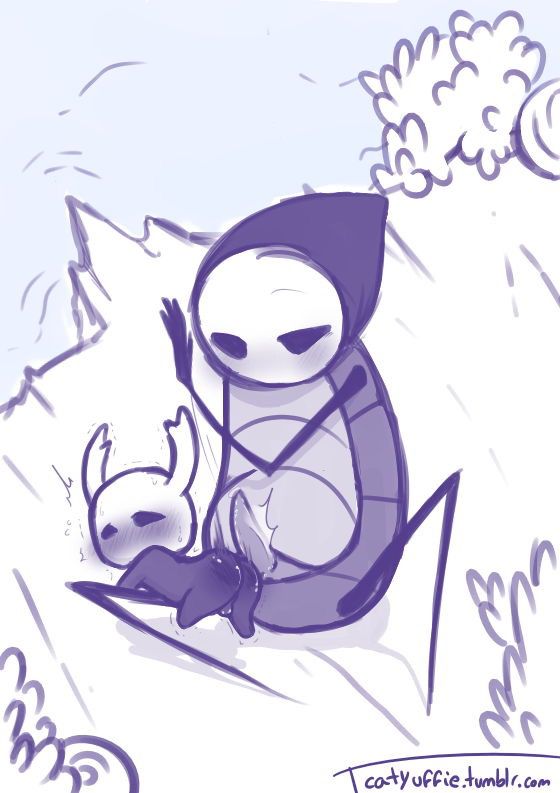 Hollow knight collection 134