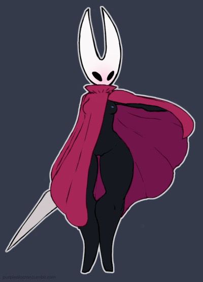 Hollow knight collection 28