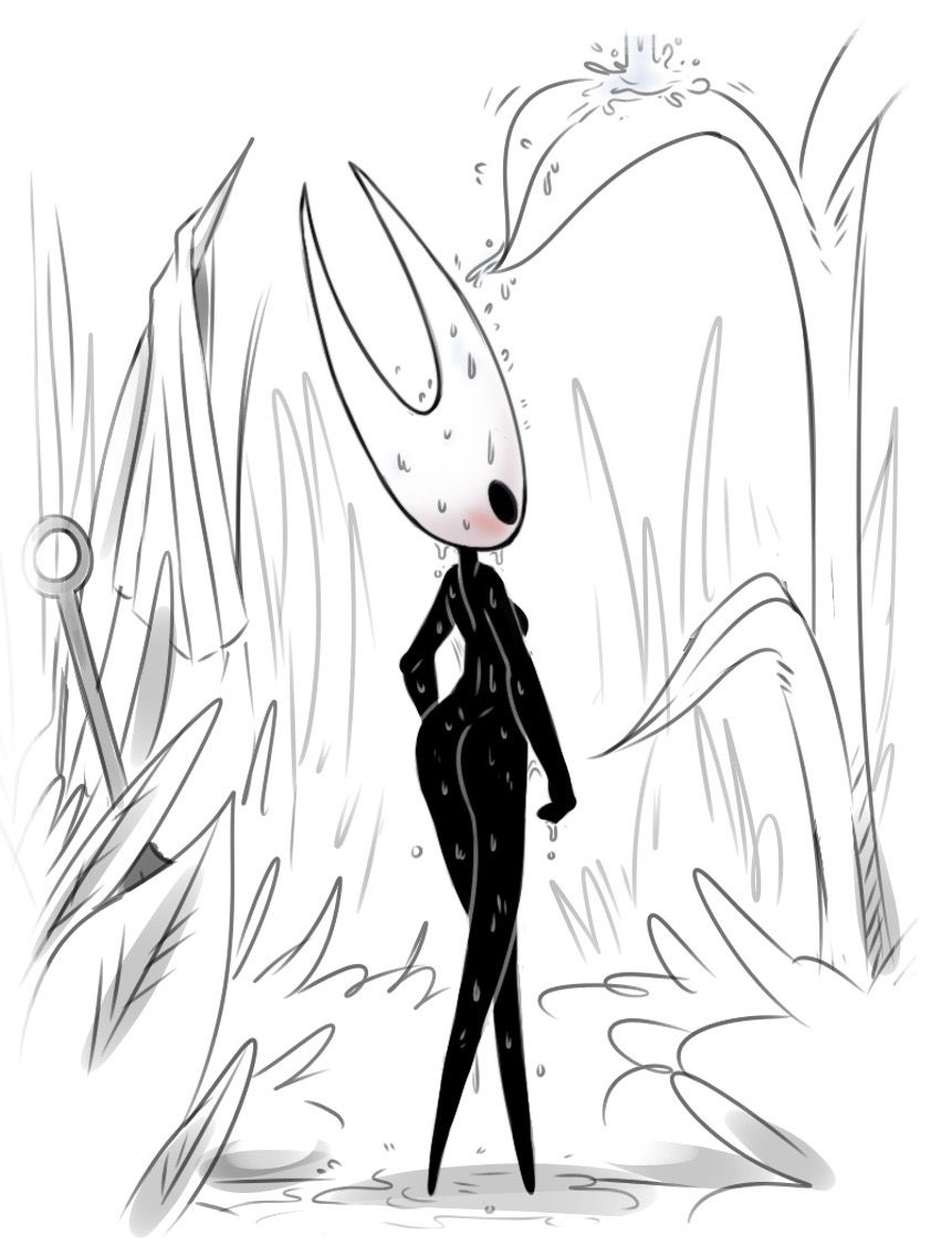 Hollow knight collection 67