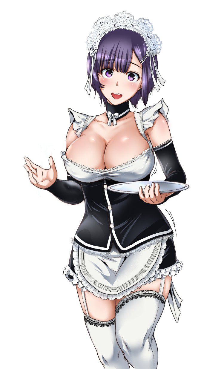 【2nd】Cute Maid's Secondary Erotic Image Part 21 [Maid's Maid' 19