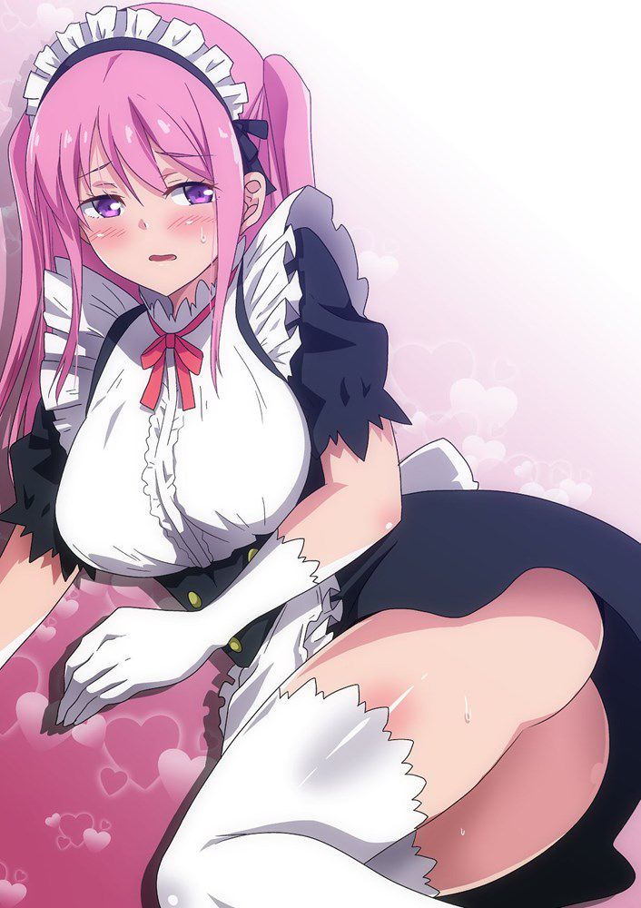 【2nd】Cute Maid's Secondary Erotic Image Part 21 [Maid's Maid' 27
