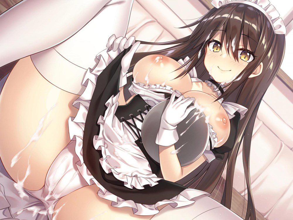【2nd】Cute Maid's Secondary Erotic Image Part 20 [Maid's Maid' 20