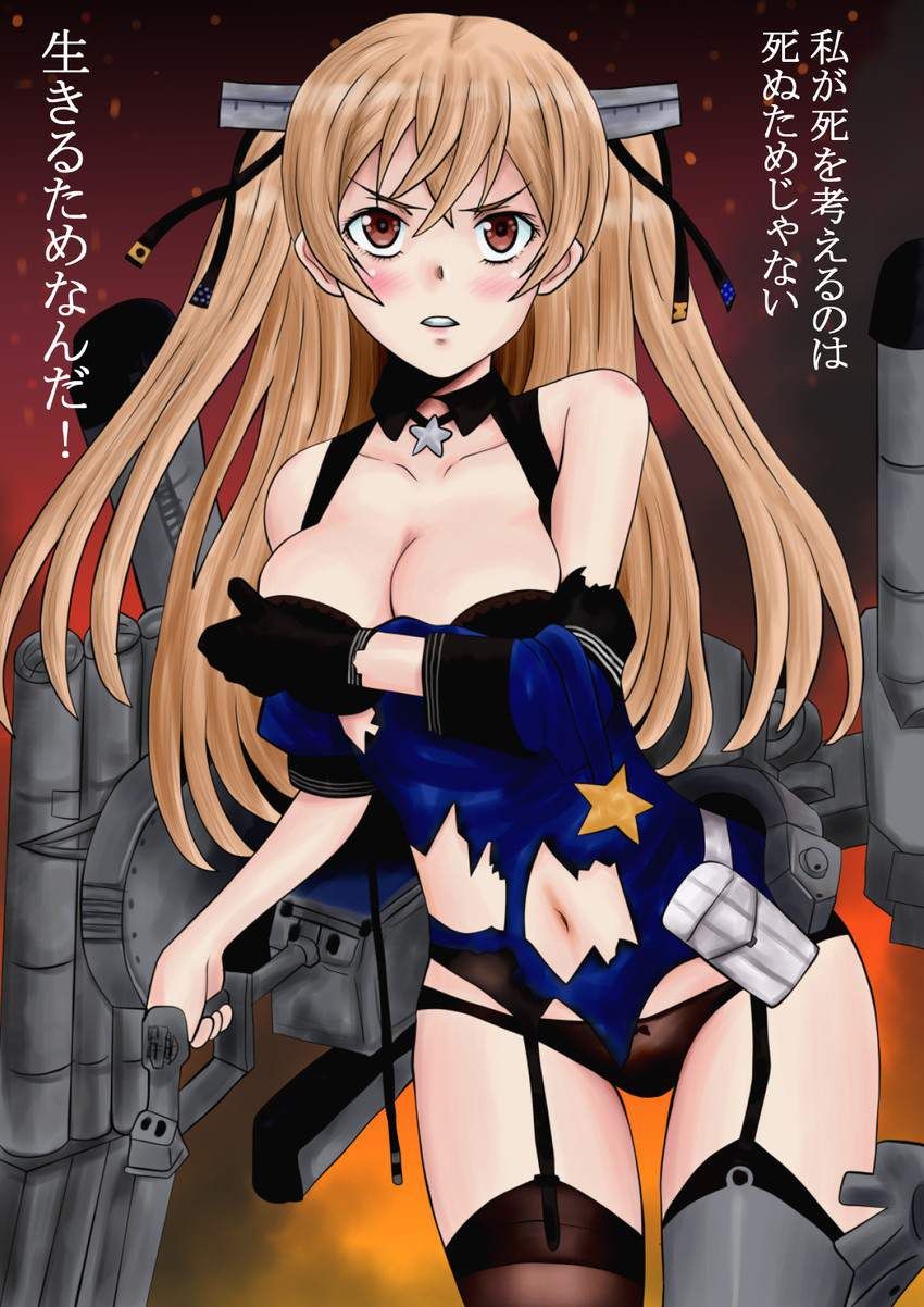 [Ship this] Image of Johnston [Fleet Collection] 9