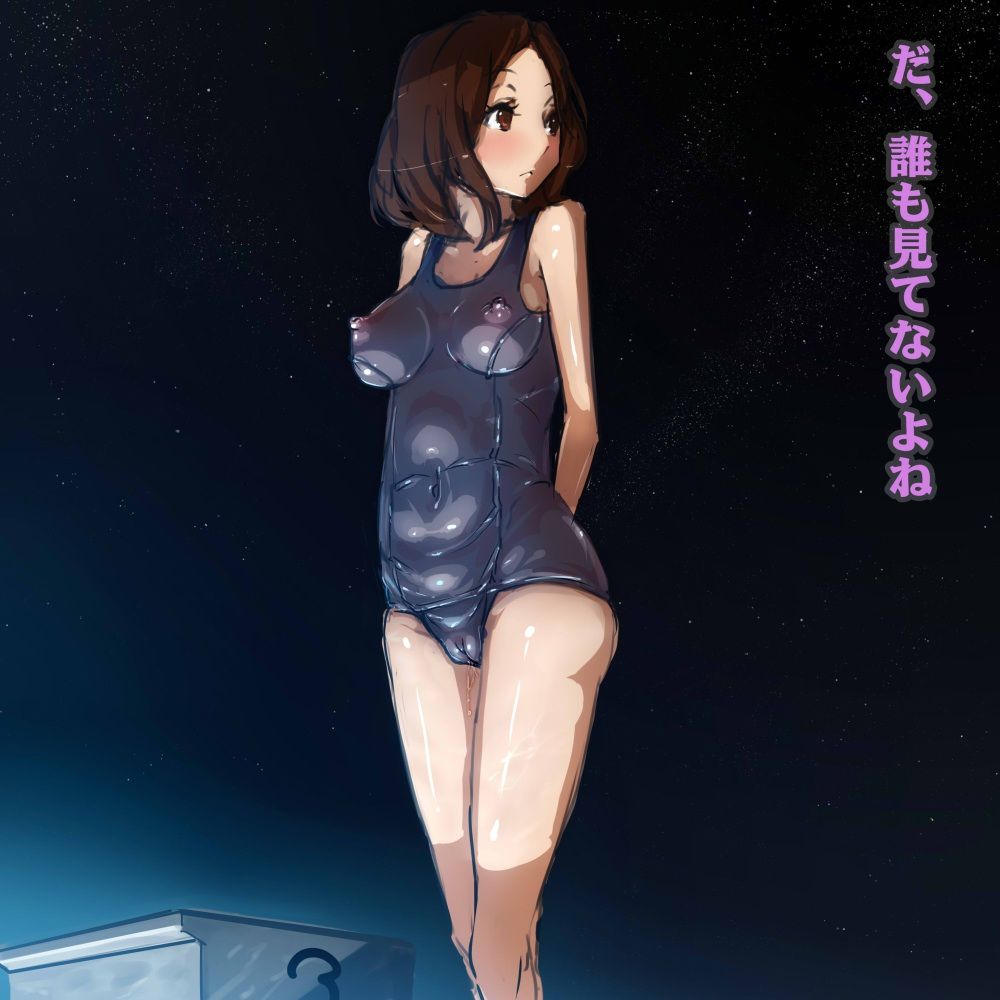 Two-dimensional sukui, swimming swimsuit beautiful girl erotic image assortment. vol.31 34