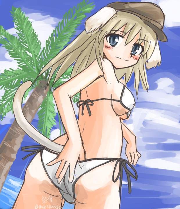 The erotic image summary that Strike Witches comes off 10