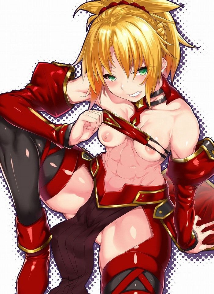 I collected erotic images of Fate/GrandOrder. 14