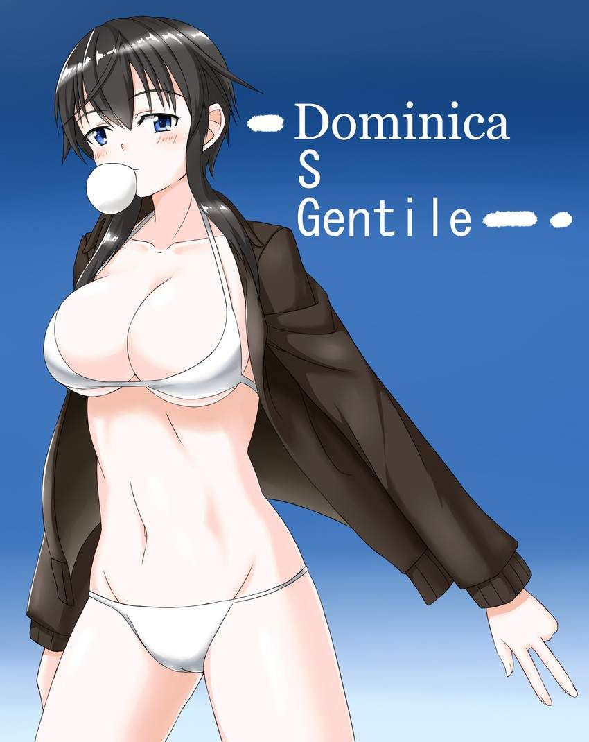 [Strike Witches] Dominica S. Gentile ( Dominica ... 24