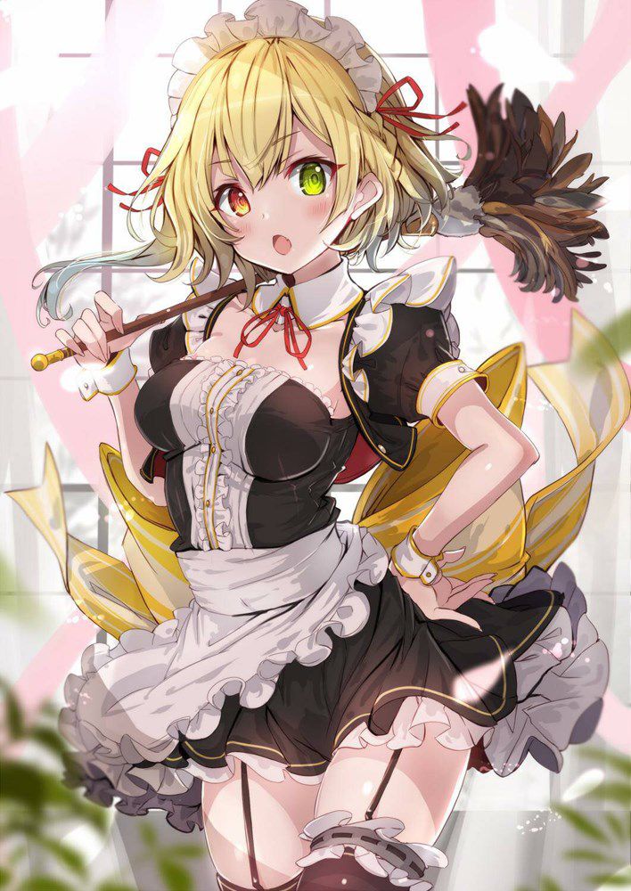 I like the maid too much and it is not enough no matter how many images 20