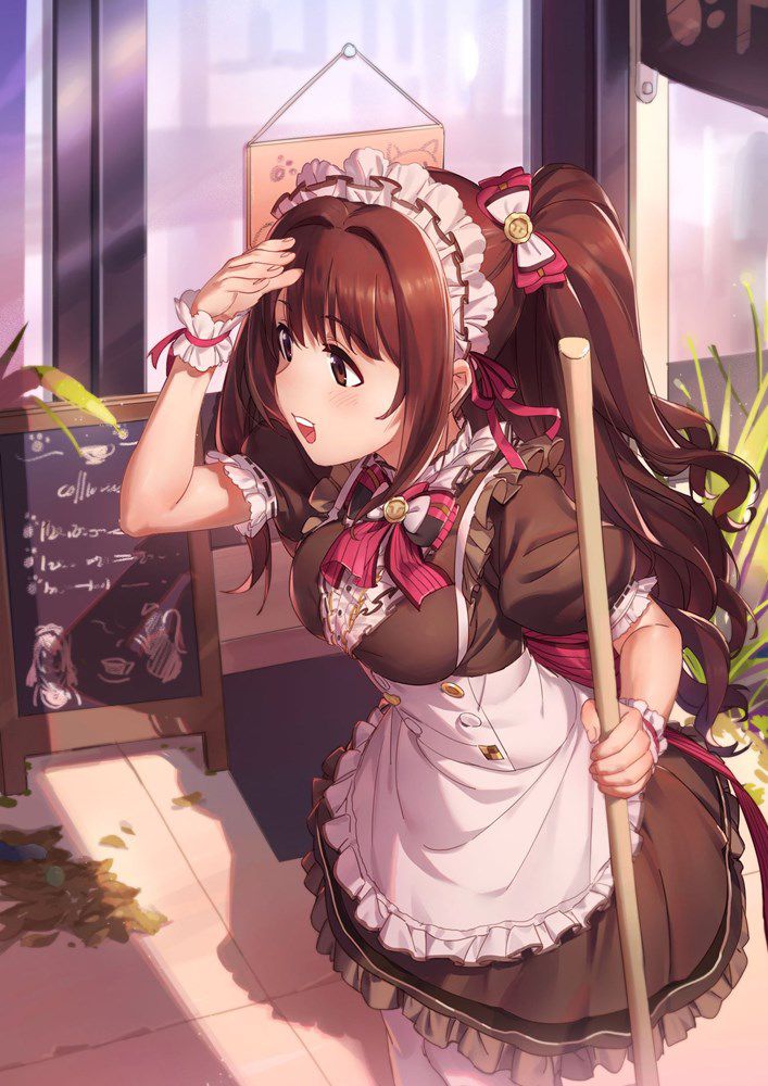 I like the maid too much and it is not enough no matter how many images 25