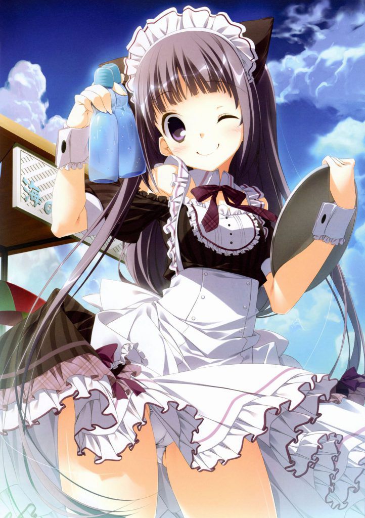 I like the maid too much and it is not enough no matter how many images 35