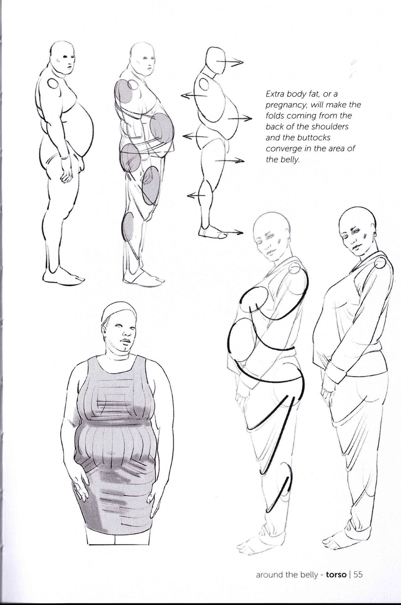 Morpho Clothing Folds and Creases Anatomy for Artists 57