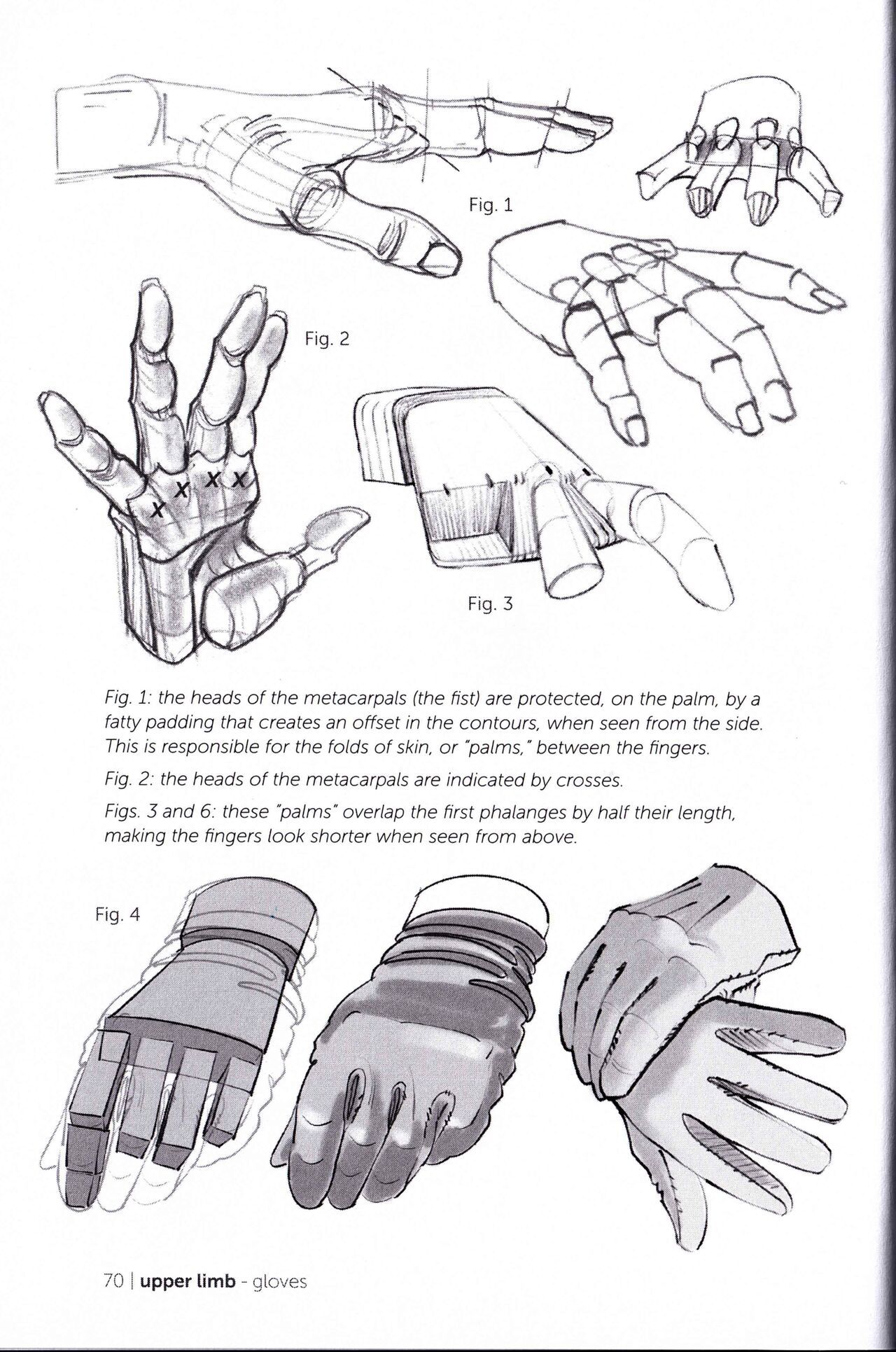 Morpho Clothing Folds and Creases Anatomy for Artists 72