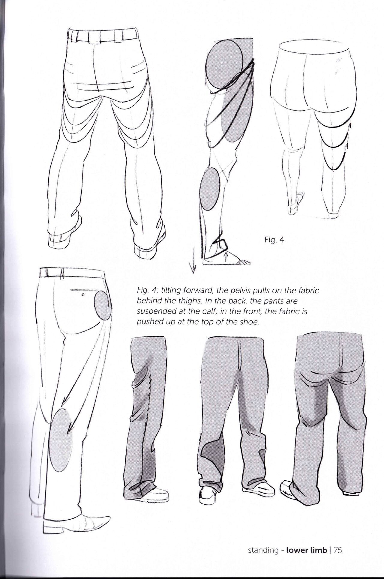 Morpho Clothing Folds and Creases Anatomy for Artists 77