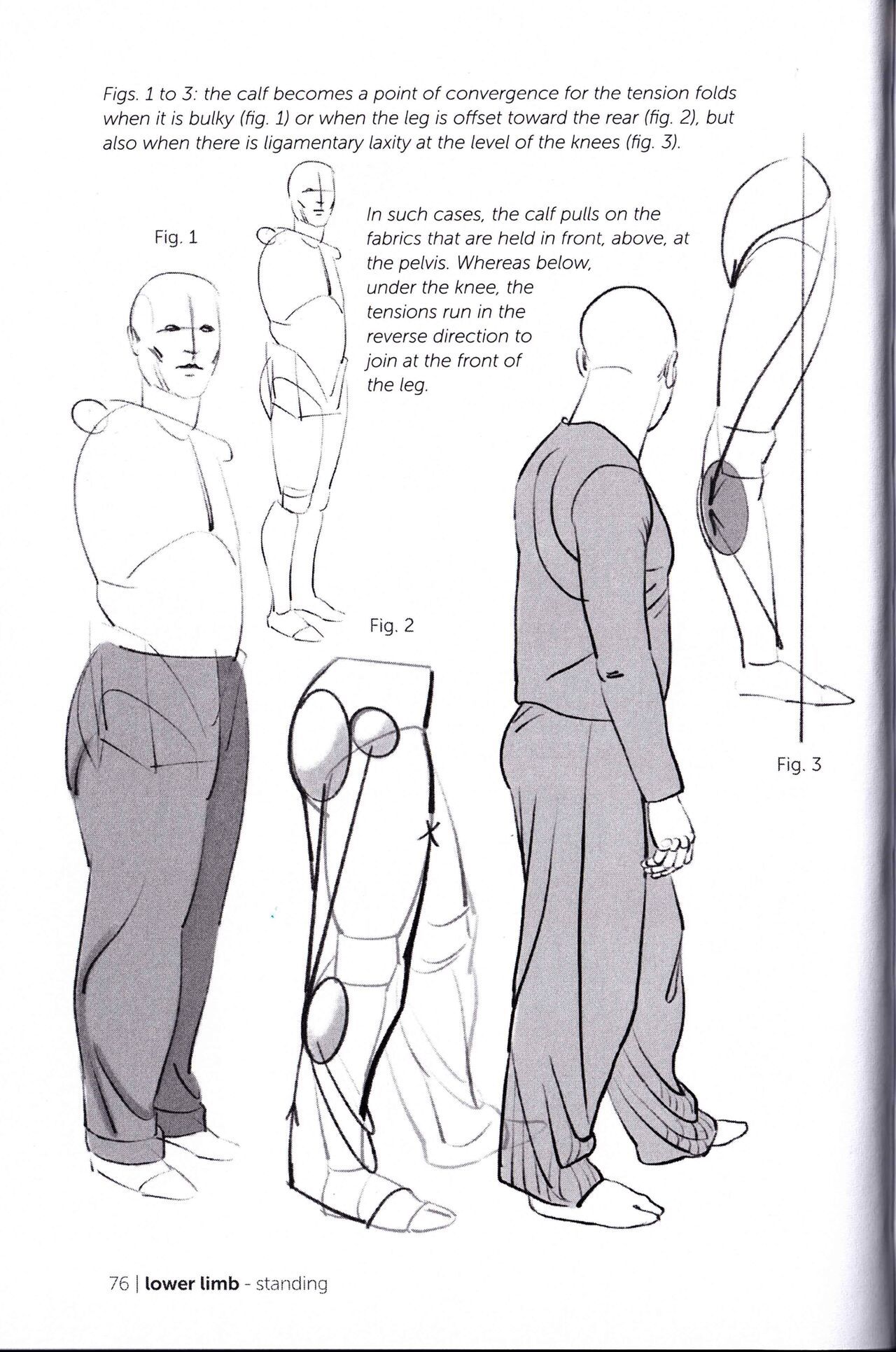 Morpho Clothing Folds and Creases Anatomy for Artists 78