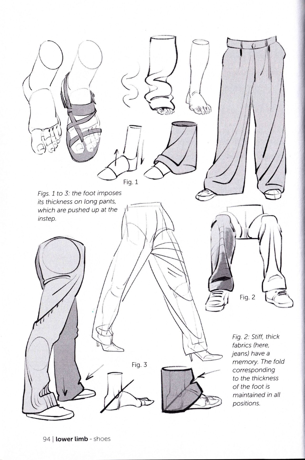 Morpho Clothing Folds and Creases Anatomy for Artists 96