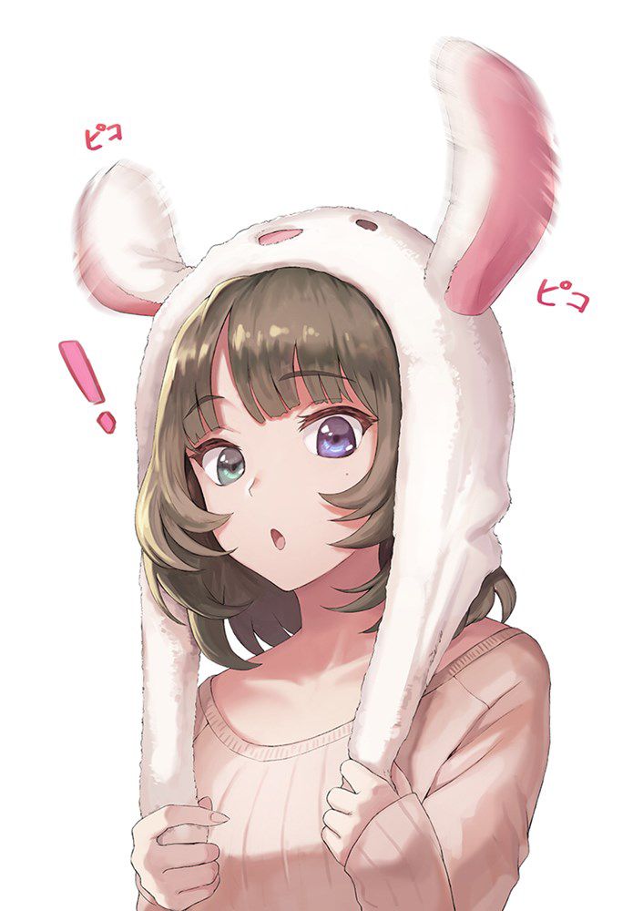 [Bunny] Bud in the secondary image of the rabbit 9