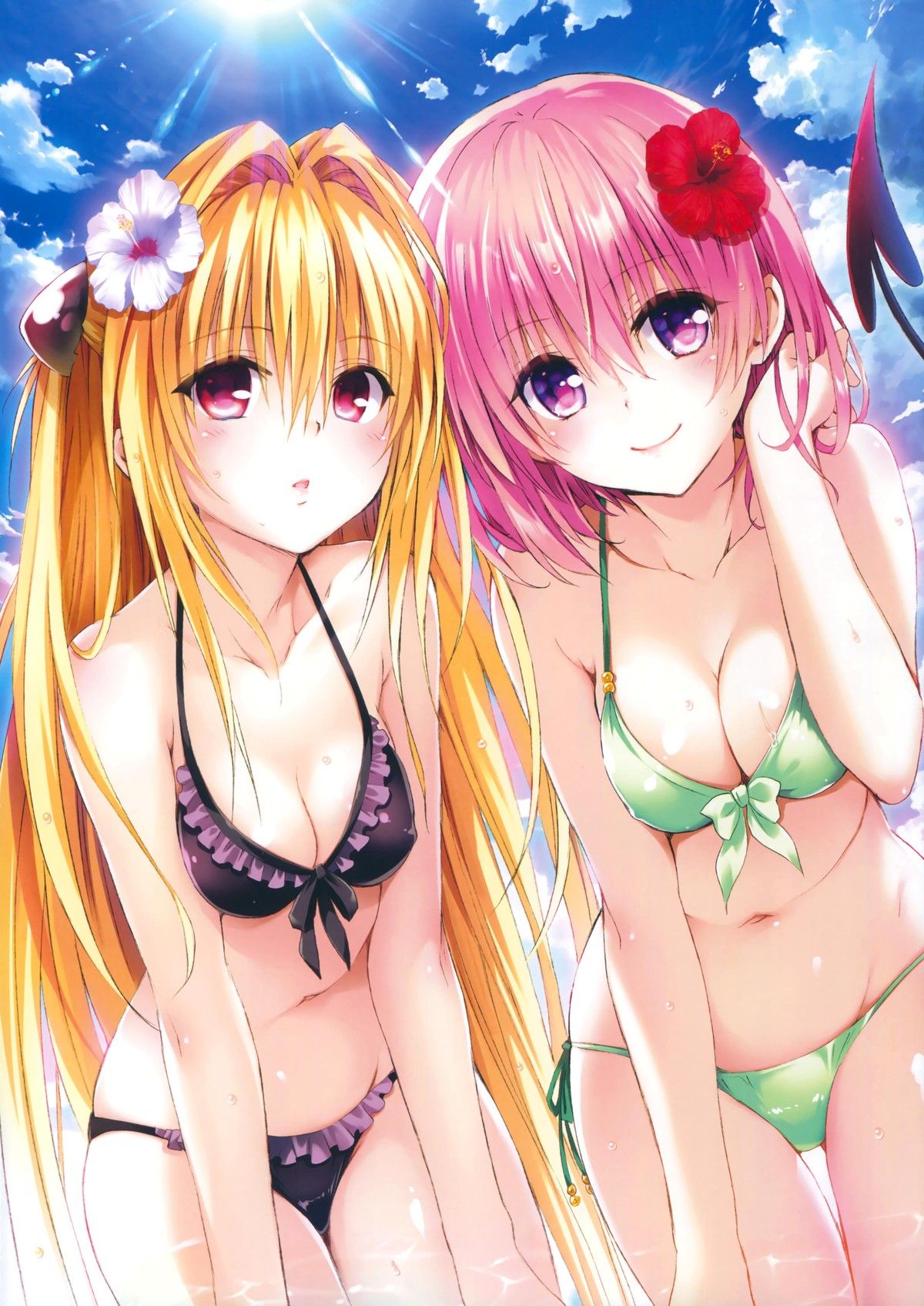 [God image] [ToLOVE RU] is not a man who does not see the erotic color illustration collection wwwwwwww 14