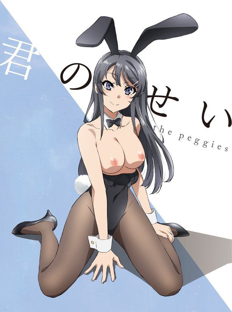 The young pig does not dream of the bunny Girl senior Stripped off Photoshop Part 3 2