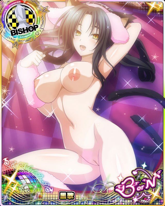 [High school DXD] stripped of high school DeeDee Photoshop part 83 17