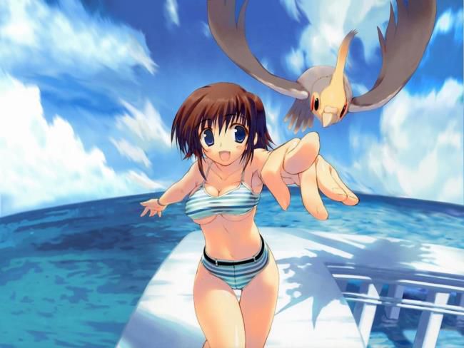 Swimsuit secondary erotic images ideology. 6