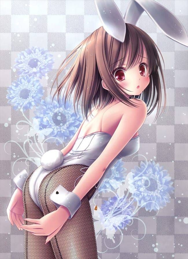 Bunny girl's escape erotic picture Summary! 18