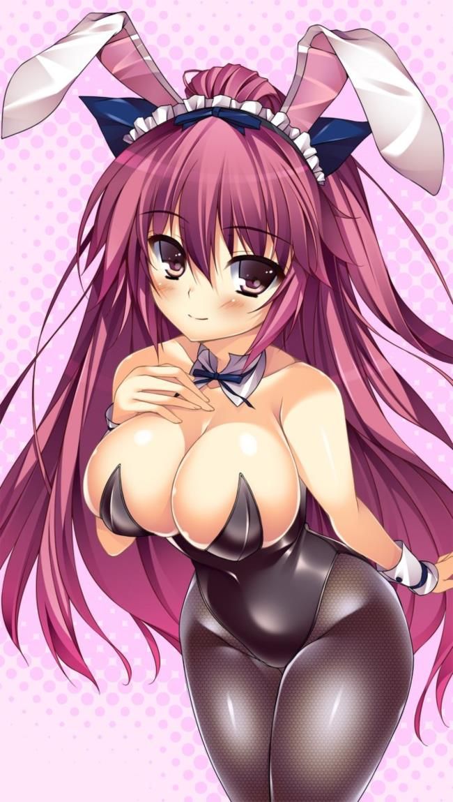 Two-dimensional erotic images of bunny girl. 1