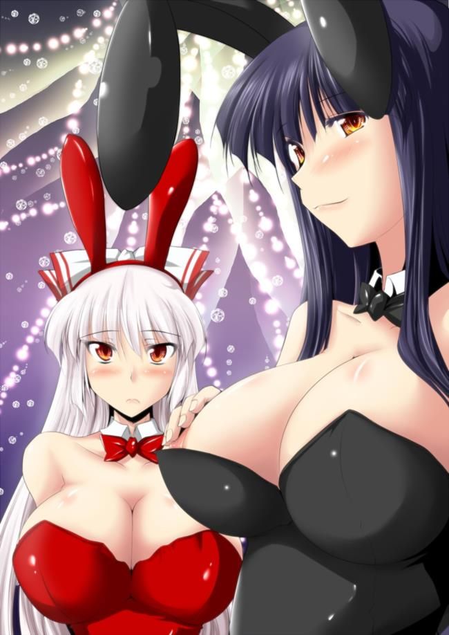Two-dimensional erotic images of bunny girl. 12