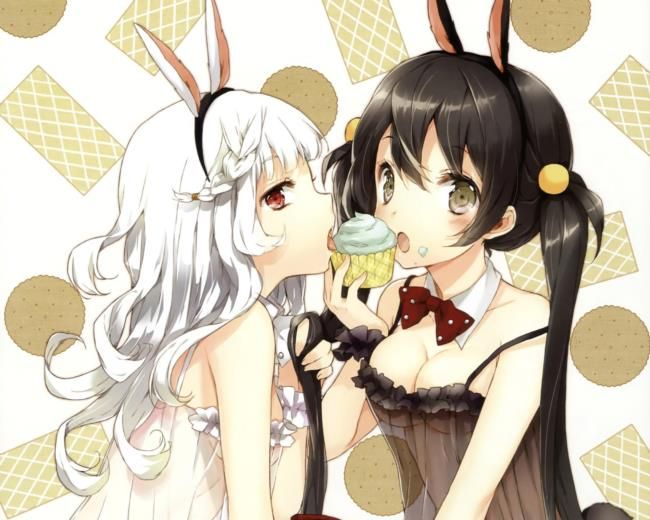 Two-dimensional erotic images of bunny girl. 3