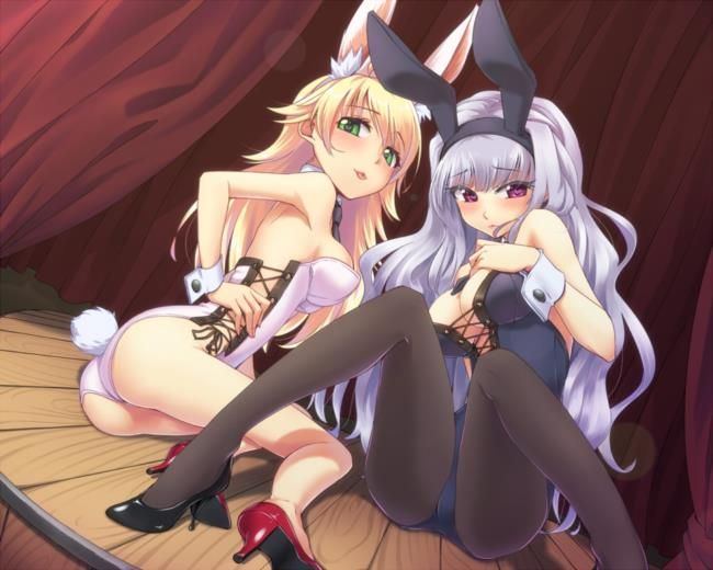 Two-dimensional erotic images of bunny girl. 6