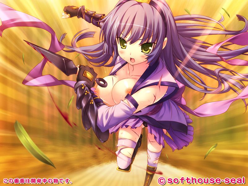 Erotic moe image ww part08 [※ There is an image] of a girl who wore a naughty woman ninja costume that looks a little lewd girl legs and crotch Chilla 14