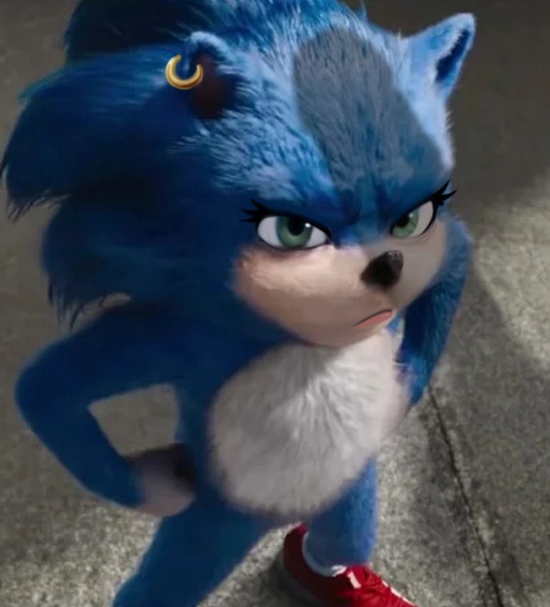 Sonic The Movie 18