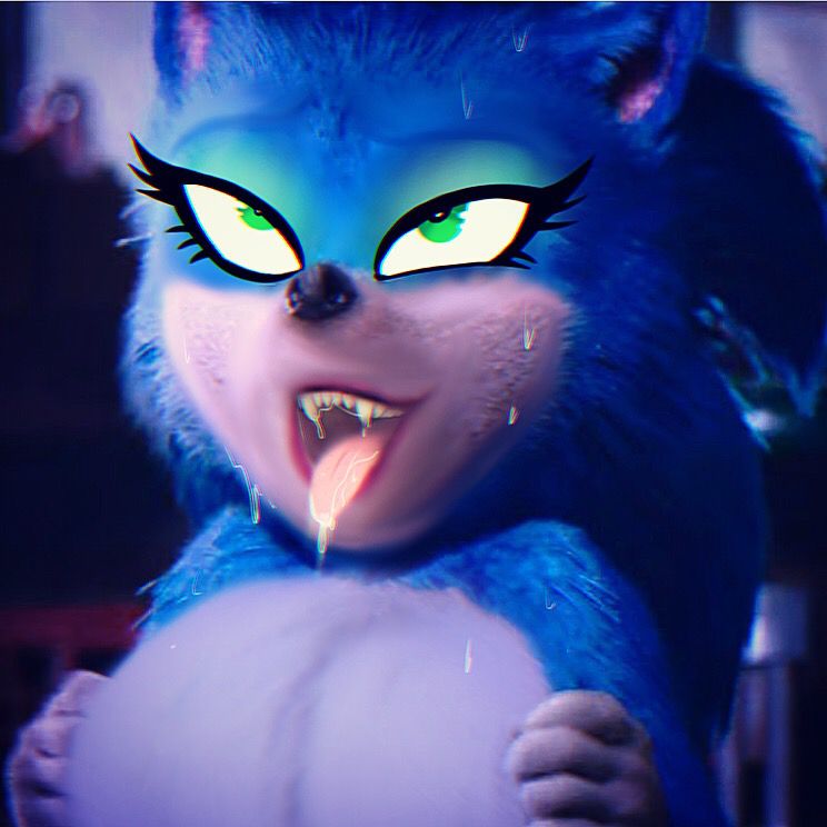 Sonic The Movie 47