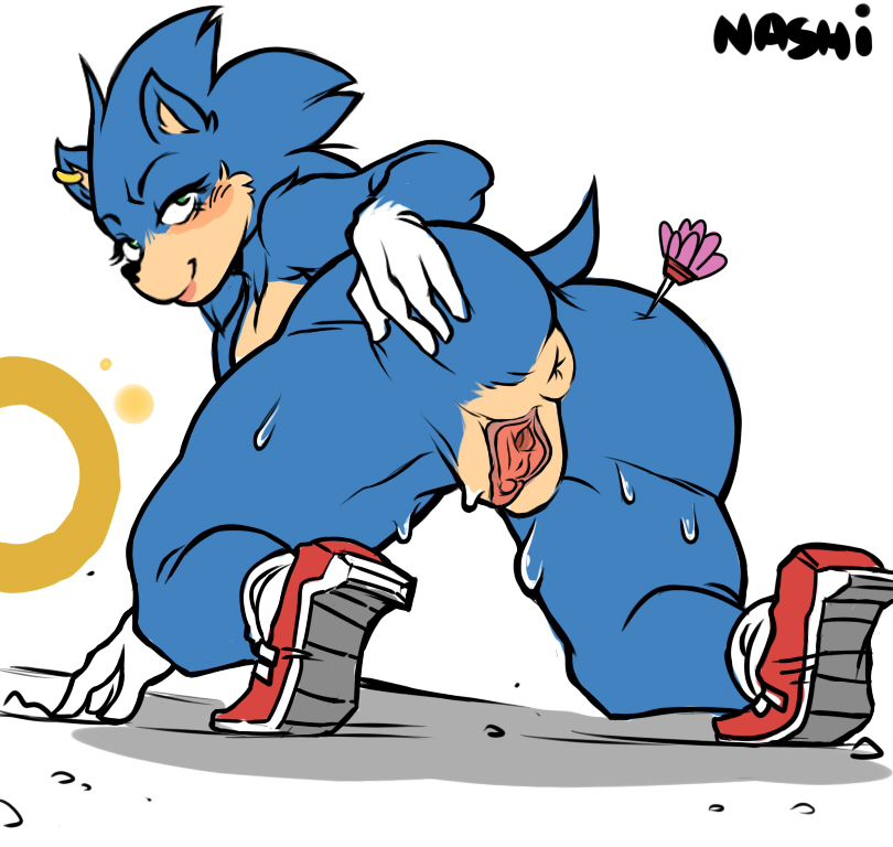 Sonic The Movie 74