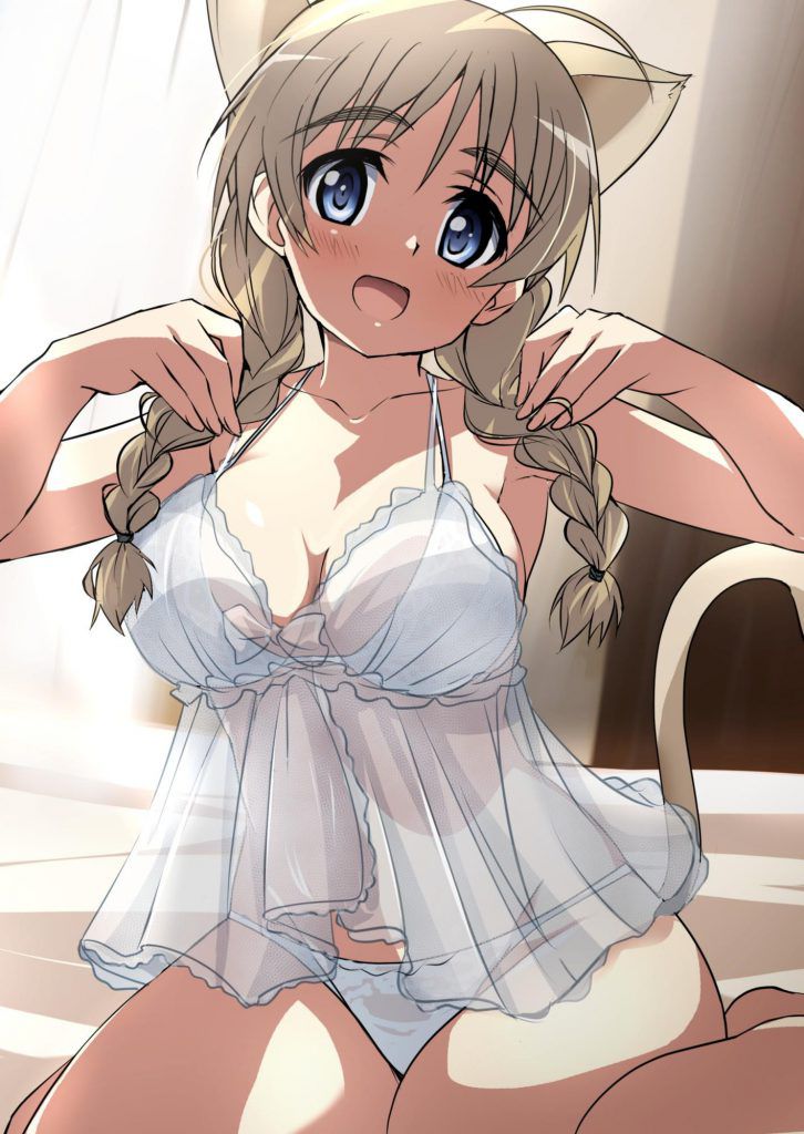 Strike Witches Supreme vs Ultimate Photo Gallery 35