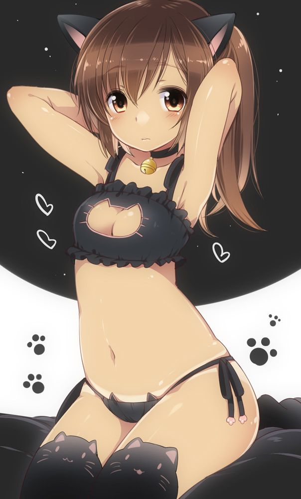 The fellow who wants to Siko in erotic image of animal ears and beast daughter gather! 20