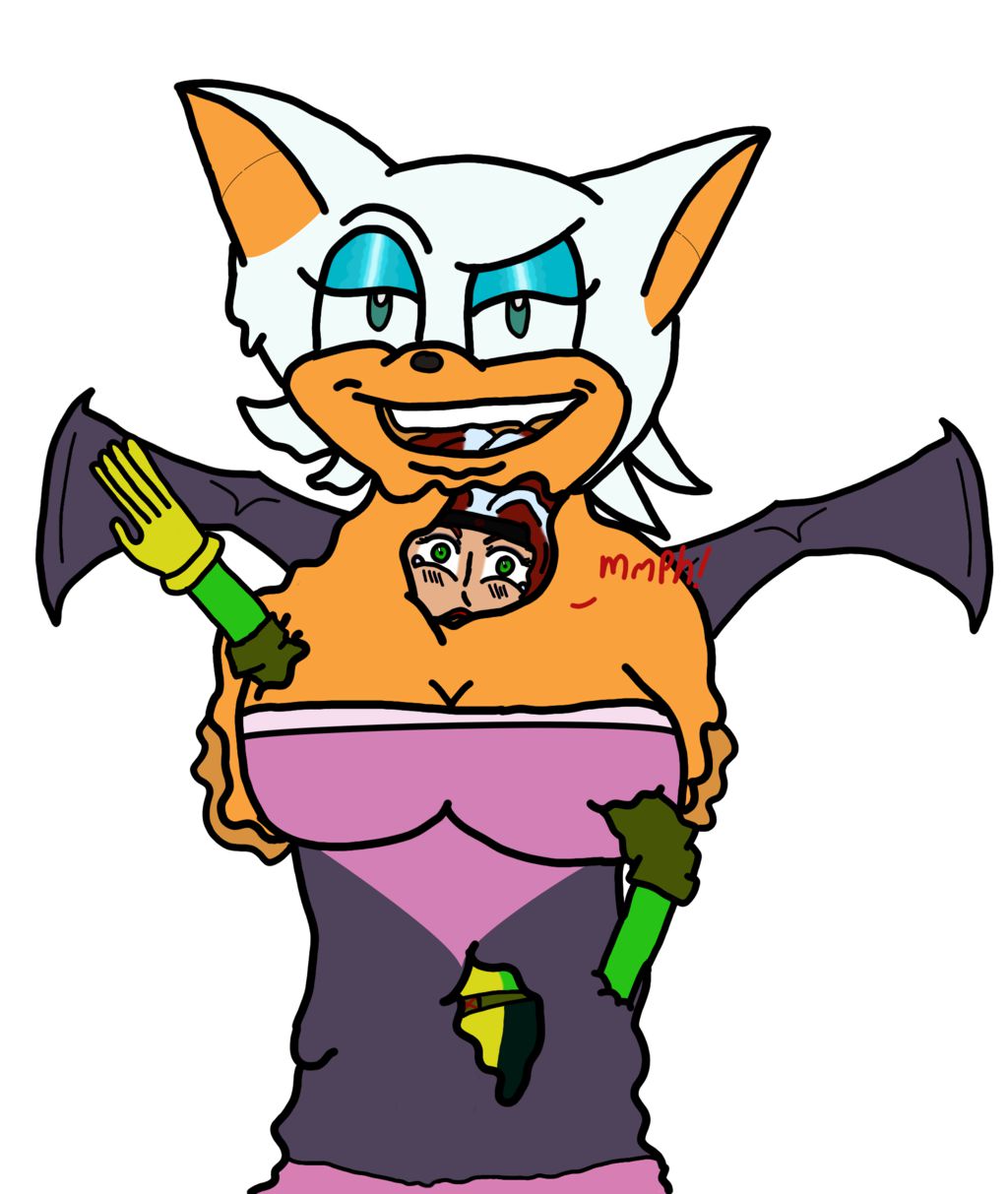 Rouge the Bat Assimilation/Transformation 17