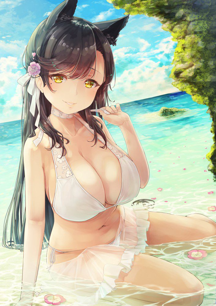 [Secondary] Moe images of swimsuit girls bathing in the sea and swimming pool 21
