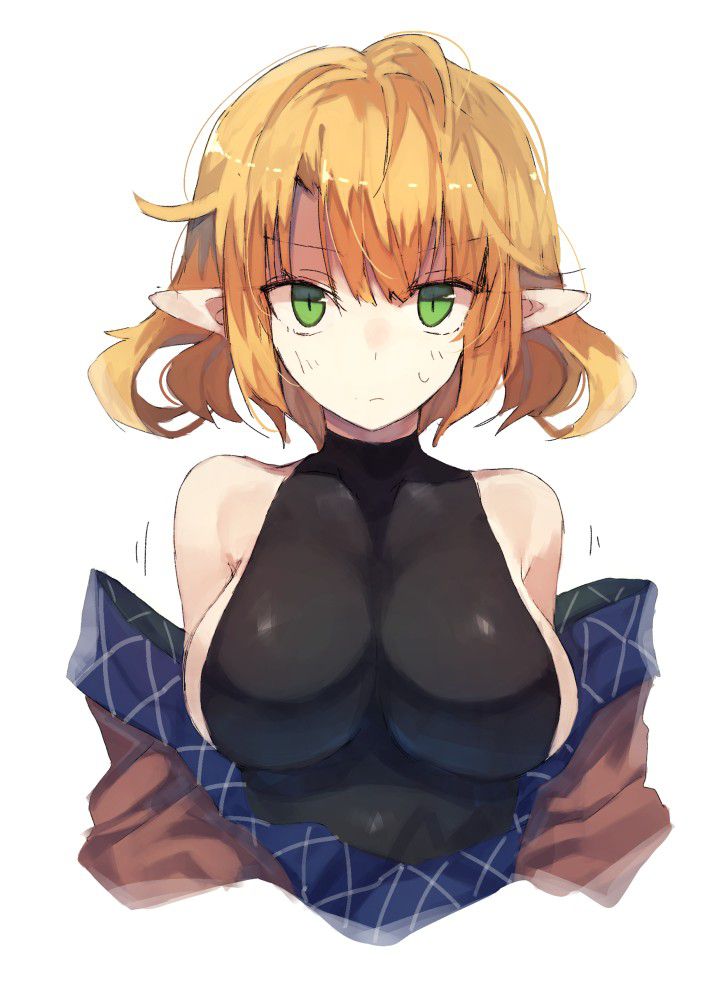 [Secondary] pointy ears cute elf ear daughter of the second erotic image Part 6 [elf ears] 1