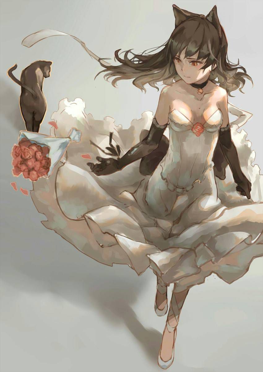 [RWBY] Blake Belladonna (Blake Belladonna) et... 49