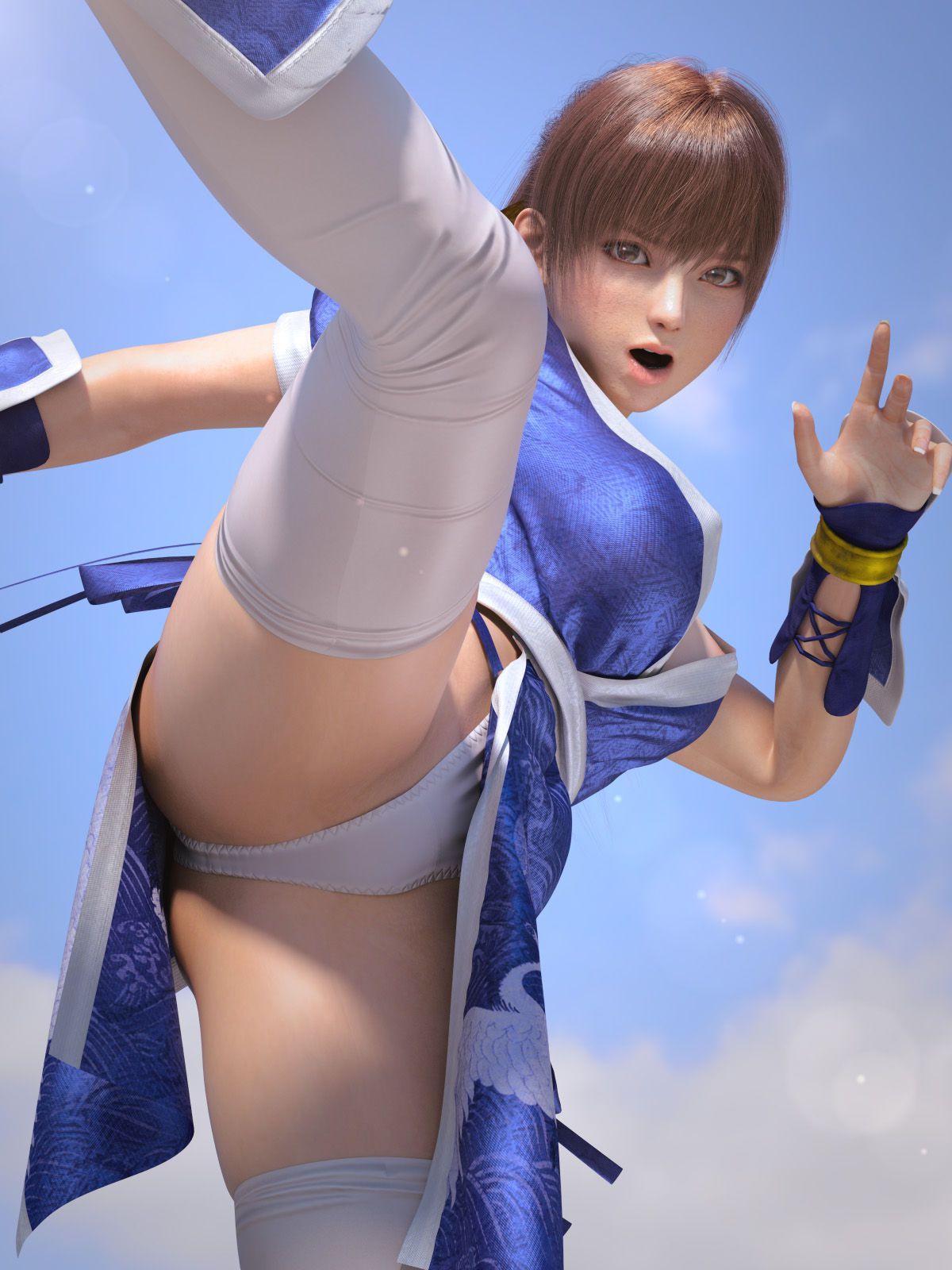 [DEAD OR ALIVE] 3D CG erotic images of DOA heroines Part 5 5