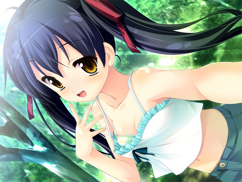 Two-dimensional black hair twin tails are really the strongest? 50 photos 24
