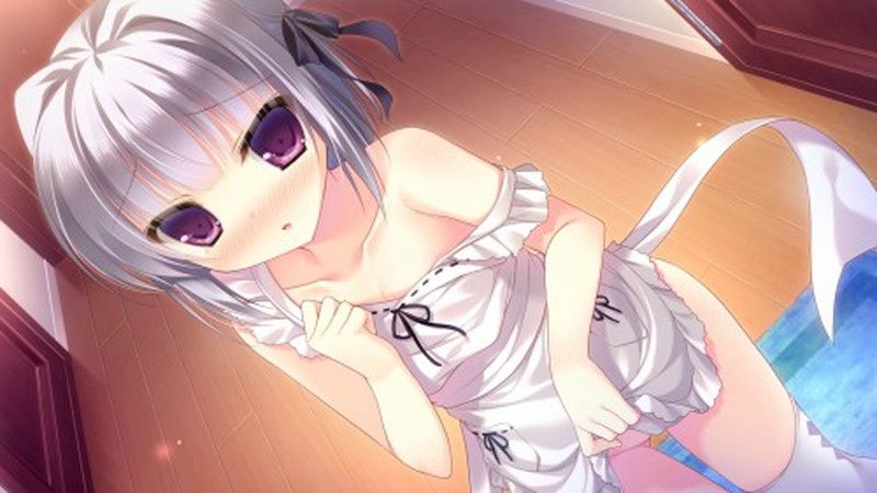 Naked Ephrolla erotic image that will become without enough even if you do not cook the cohabitation of Loli girl naked apron figure! 12